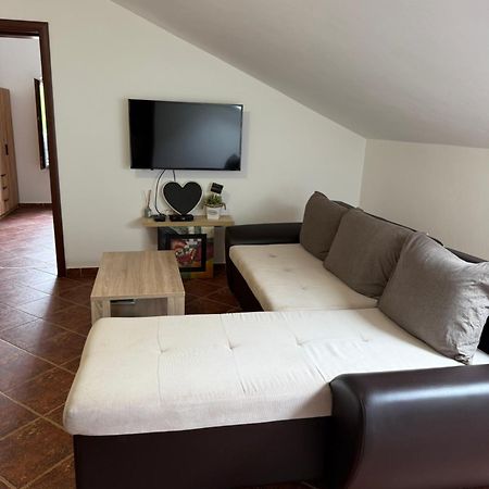 Apartment Atina Kotor Extérieur photo