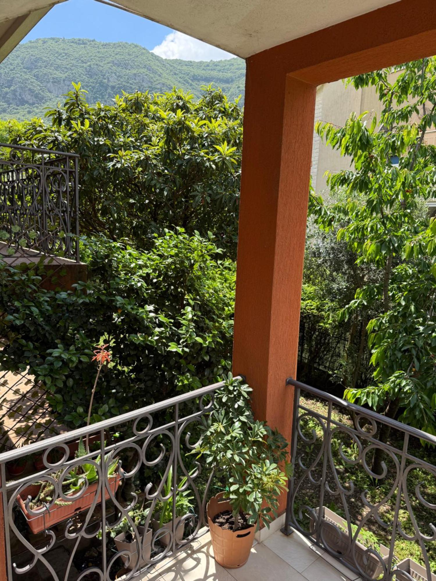 Apartment Atina Kotor Extérieur photo